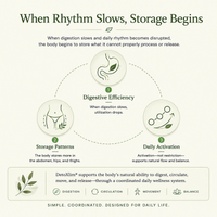 DetoXlim® 30-Day Starter Kit